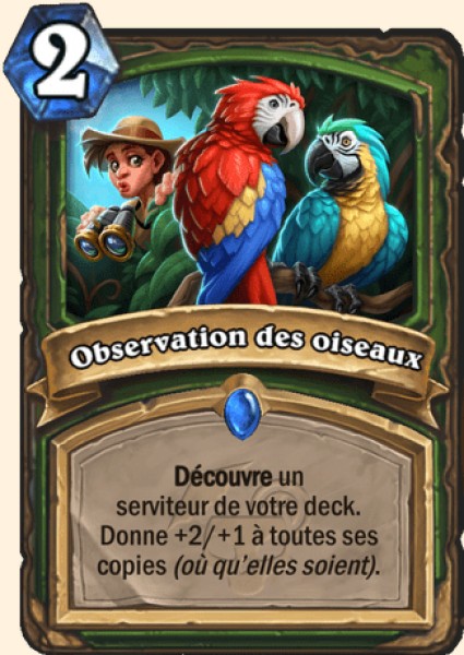 Birdwatching carte Hearhstone